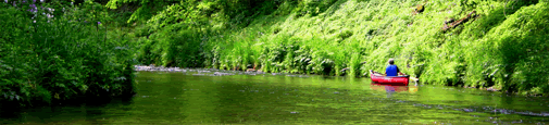 home_image